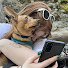 safPH_gn_vo-channel-avatar-Erica Markle