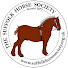 ZY4HhWfh0gY-channel-avatar-Suffolk Horse Society