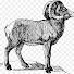 JtNdwGJoxB8-channel-avatar-Zarahemla Foundation
