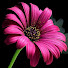 uVEOogZdI94-channel-avatar-Design Ideas Cement