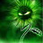 @lakesidestoner Avatar