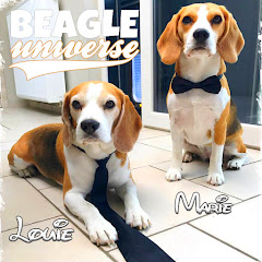 Beagle Universe Avatar