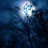 @webshooter1874
