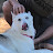 @jwise4314 Avatar