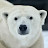 @Polar_bear1974