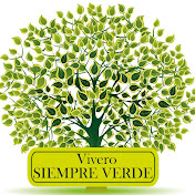 VIVERO SIEMPRE VERDE