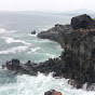 도리조아