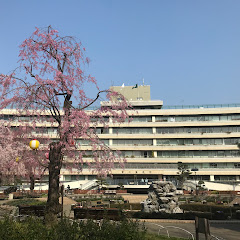 荒川区議会アイコン画像