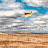 Winning in the Wind