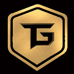Techno Gamerz Net Worth