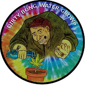 dirtybongwater grows meds
