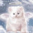 @ranitafeliz2987 Avatar