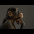 KrBTtKR9Occ-channel-avatar-The Skeptic