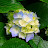 @user-zw4tp3ro7r