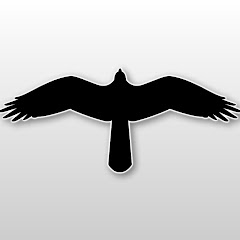 VidVulture net worth