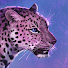 JmA0LdqVcBI-channel-avatar-Noctualis