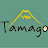 @tamagoanphu2643