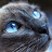 @MohondhaY Avatar