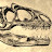 @ironfossil9963's avatar