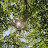 @user-pt6lq1zt6v