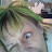 avatar of @manicmanon