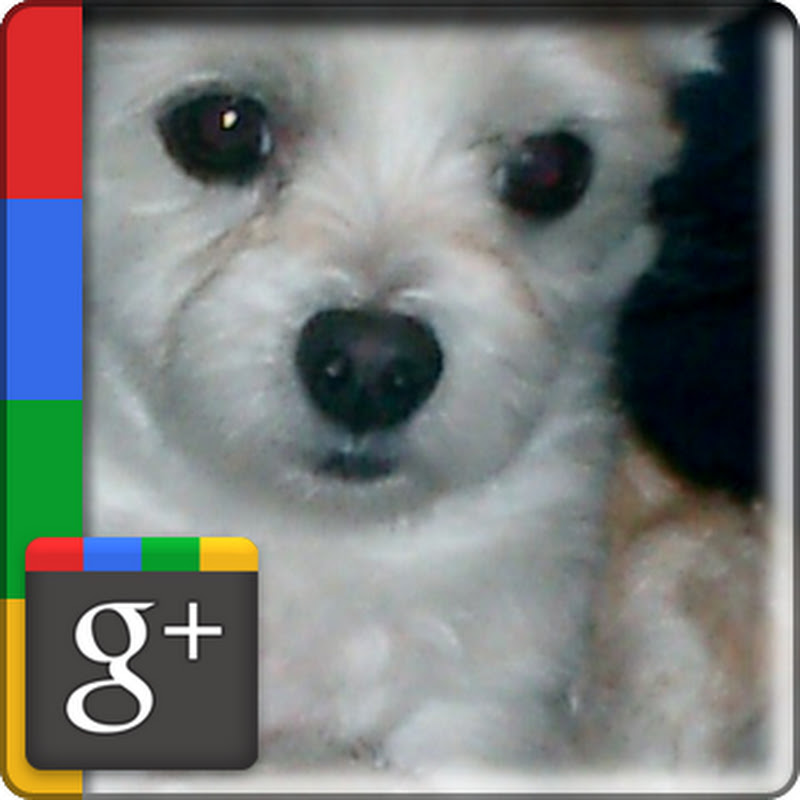 Roy Gardnerra icon