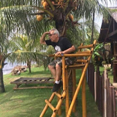 Paul in the Philippines Old Dog New Tricks Avatar