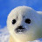 youtube avatar