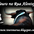 lU--da2__A8-channel-avatar-touro na rua Alentejo