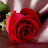 @وليدالعامري-و6ش