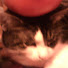 aYXIZnl94X0-channel-avatar-The Tomato Watcher