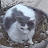 @David-yy7lb Avatar