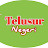 Telusur Negeri