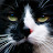 @MrBurnlan Avatar