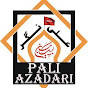 Azadari Ali Nagar Pali logo