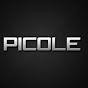 Picolé Salgado logo