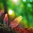 @livingpoetrylive's avatar