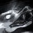 9Y5Yxk_bKbc-channel-avatar-Dmitriy “Snakeoid” Dezortsev