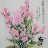 @user-sd4gg5xi9o