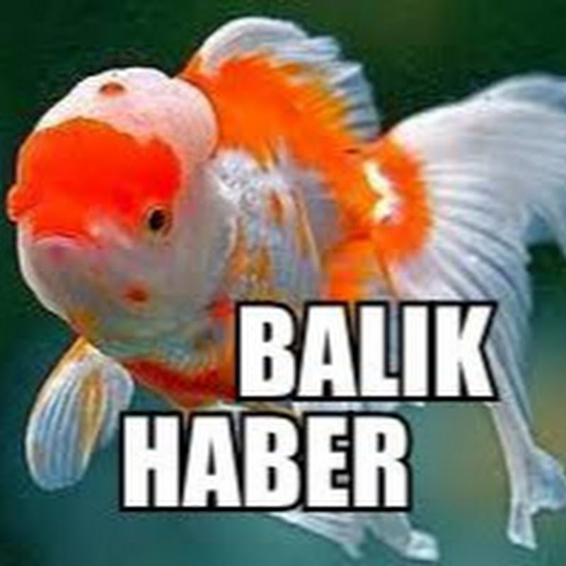 BALIK HABER