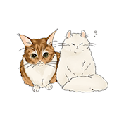 にゃんねる