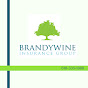 Brandywine Insurance Group LLC logo