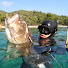 wjL0LxQqaDs-channel-avatar-Shallow Spearfishing by manocity22