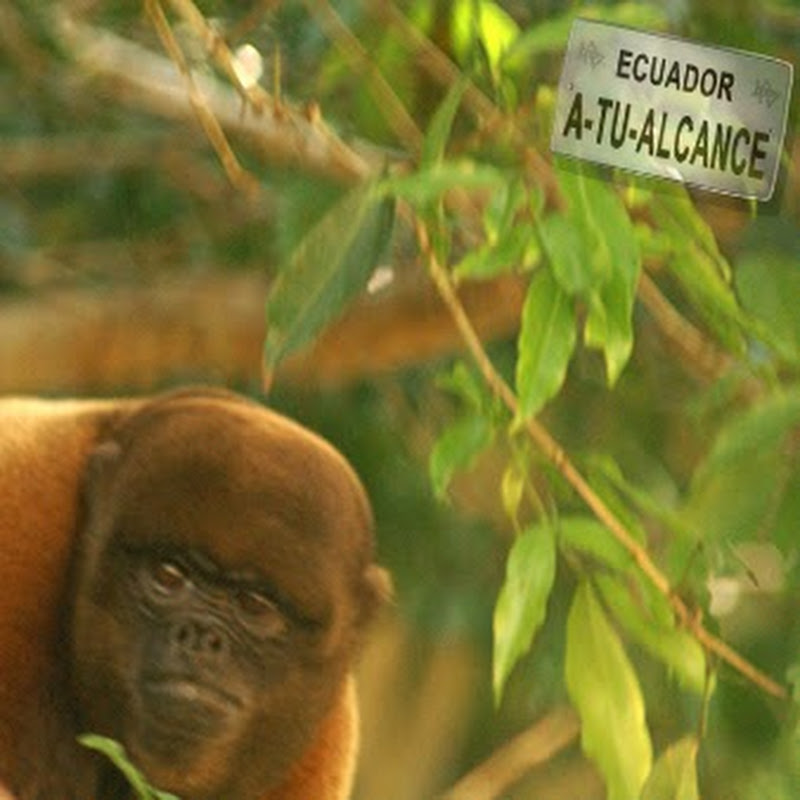 Ecuador a tu Alcance