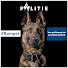 MDJ8gZav0mU-channel-avatar-Politiehond Bumper