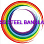SS Steel Bangla logo