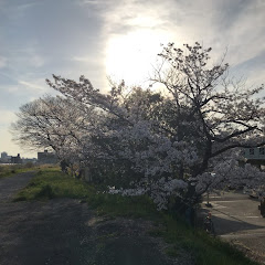木村謙介