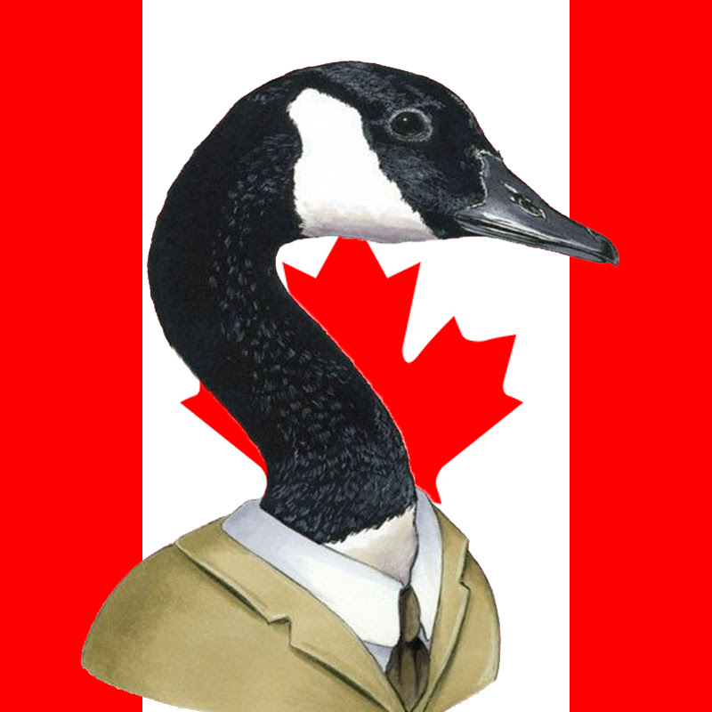 Canadian Investing