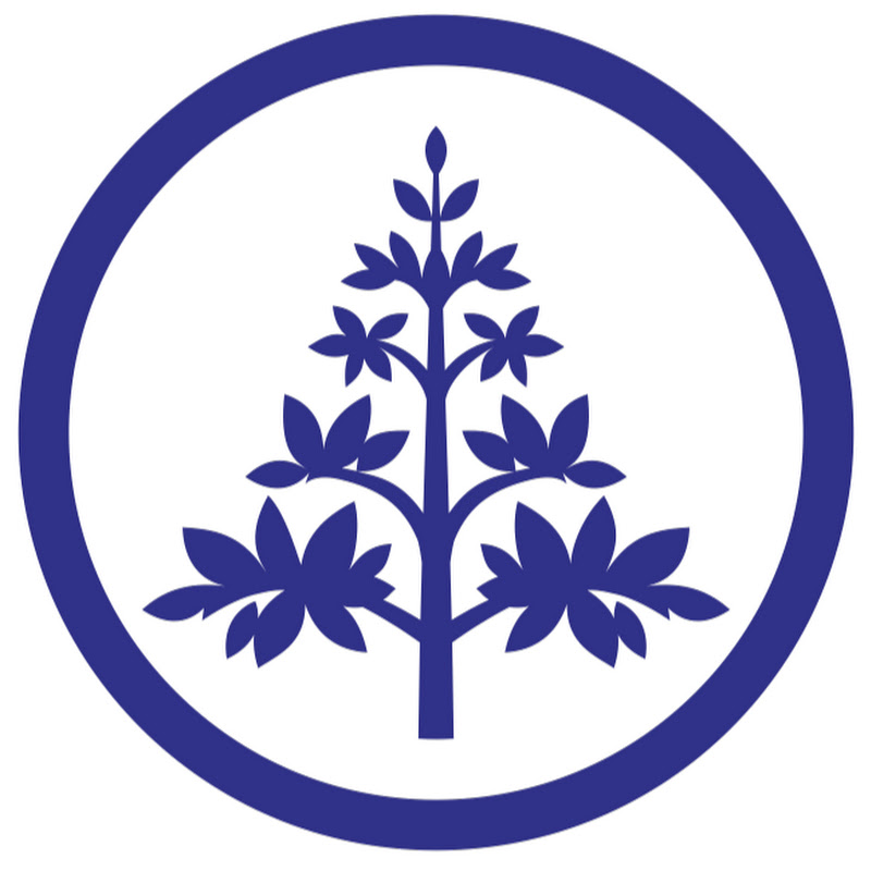 Lifestyle Financial Services
