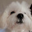 @iiinhyeok